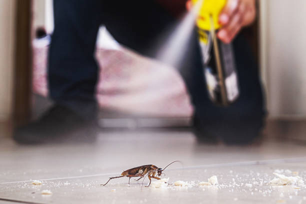 Best Flea Control Services  in Newellton, LA