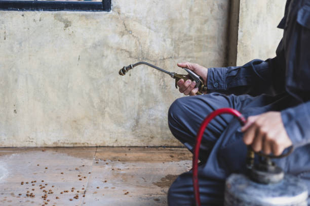Best Cockroach Control Services  in Newellton, LA