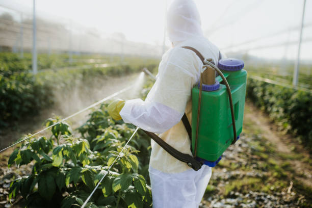 Professional Pest Control in Newellton, LA